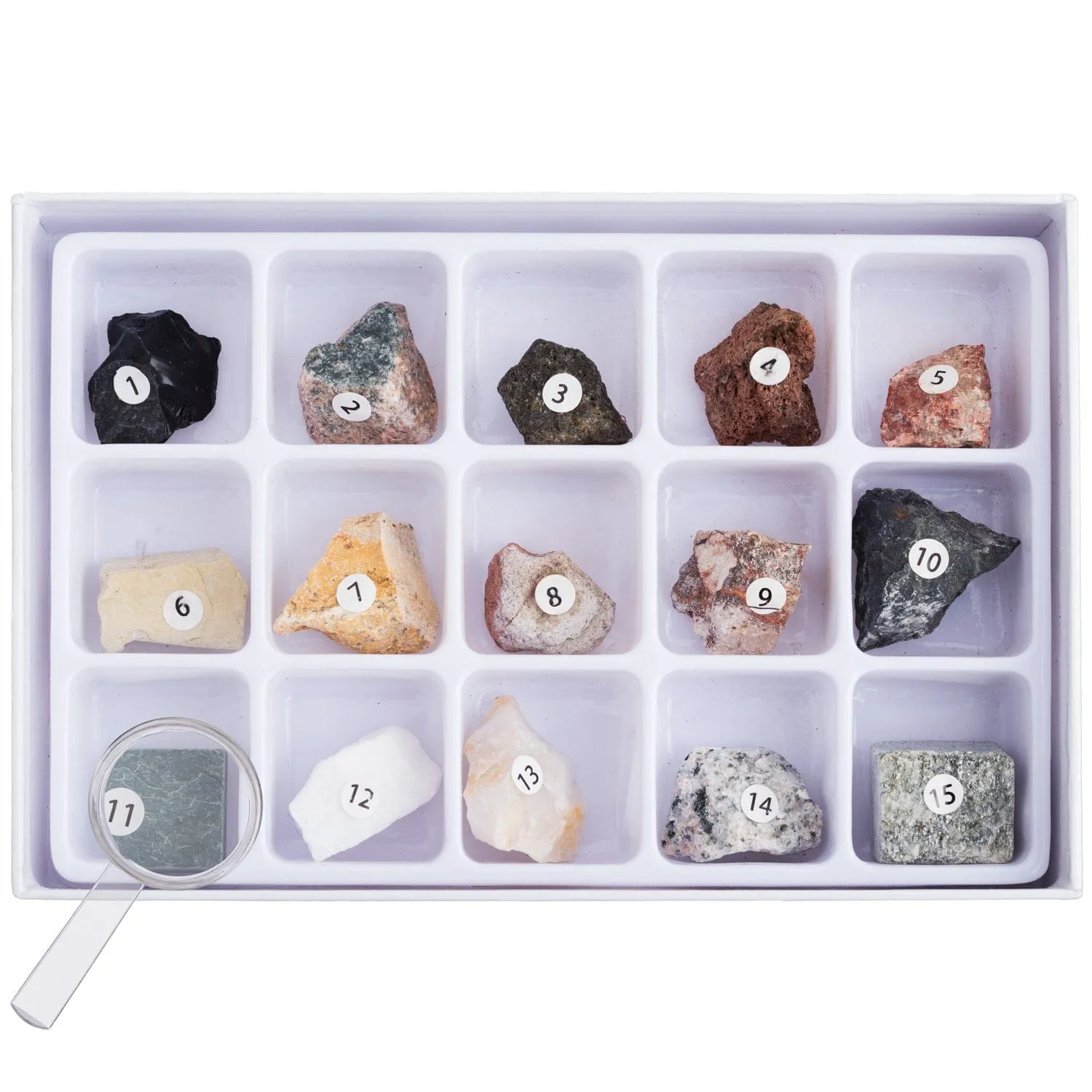 AmScope Kid's Natural Geode Discoverer Series Set featuring Deluxe All-In-One Stereo Microscope, Ultimate Natural Geode Exploration Set and more