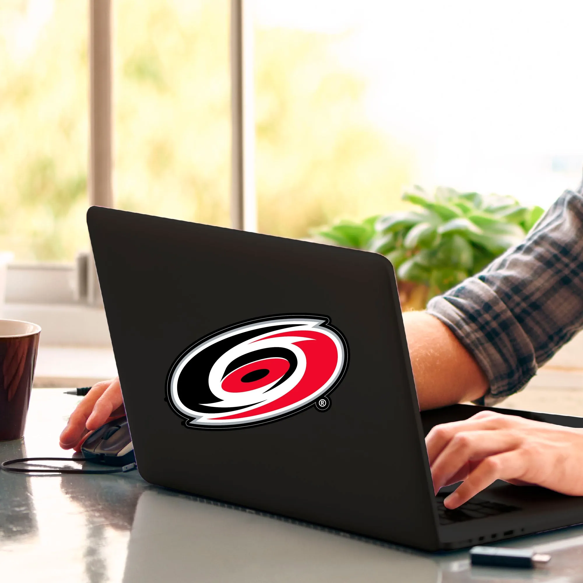 Fanmats Carolina Hurricanes Matte Decal Sticker