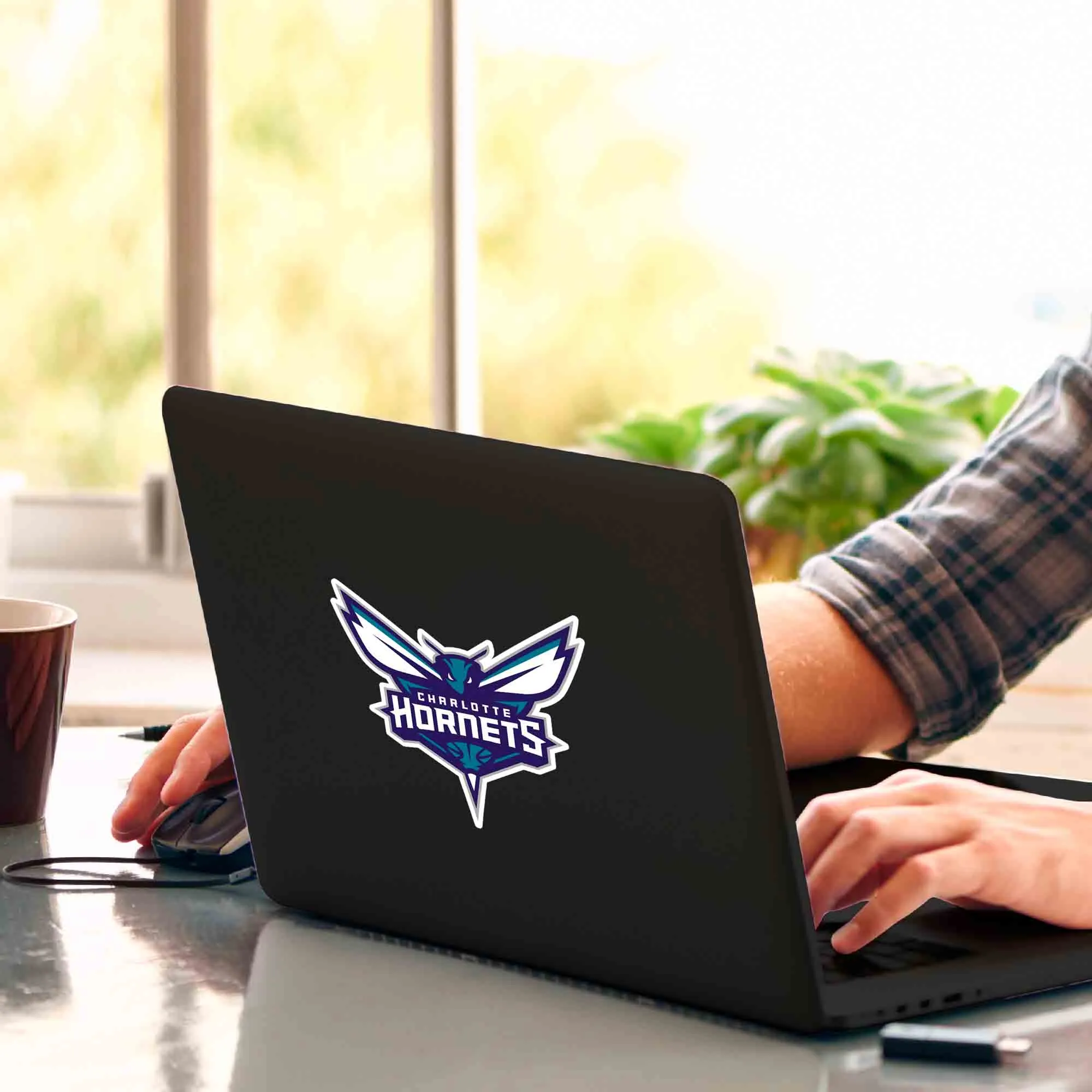 Fanmats Charlotte Hornets Matte Decal Sticker