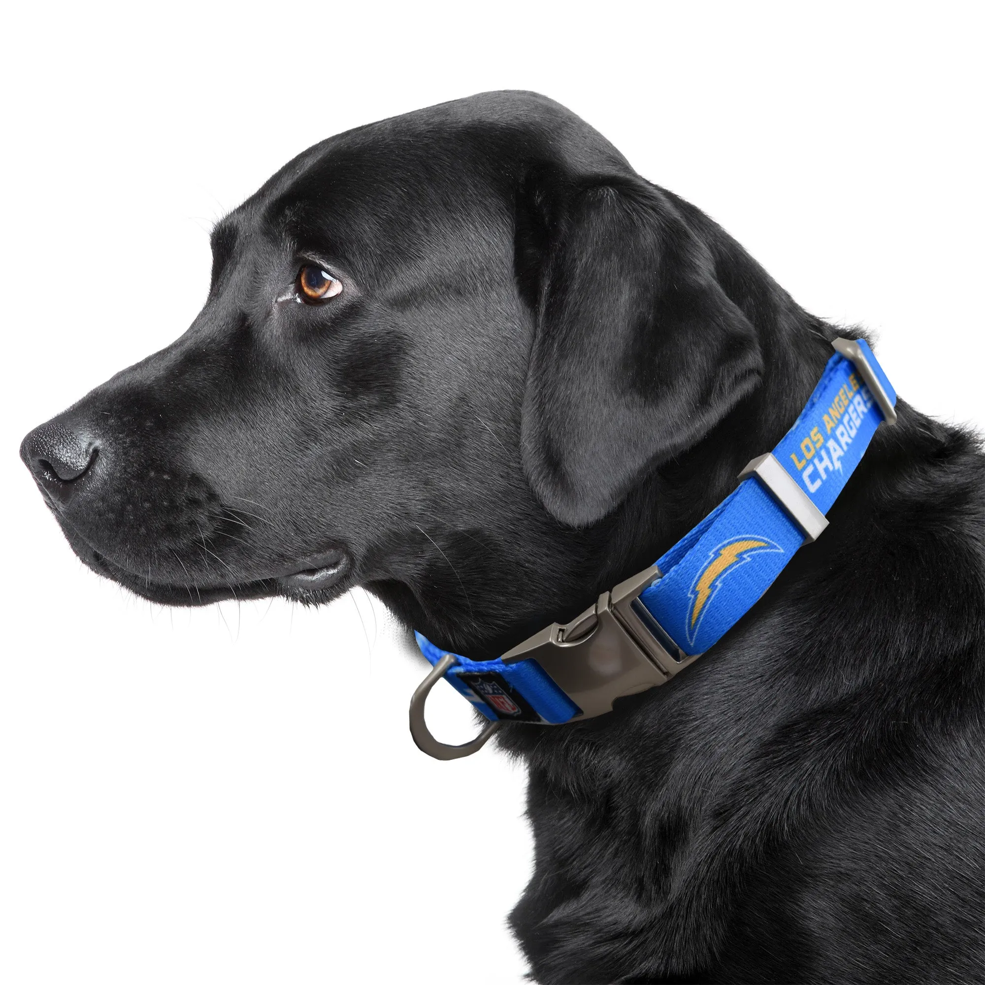 Los Angeles Chargers Premium Pet Collar