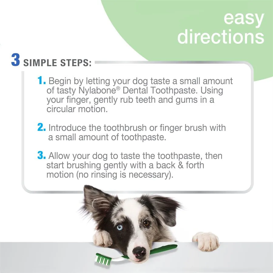 Nylabone Advanced Oral Care Natural Dog Dental Kit