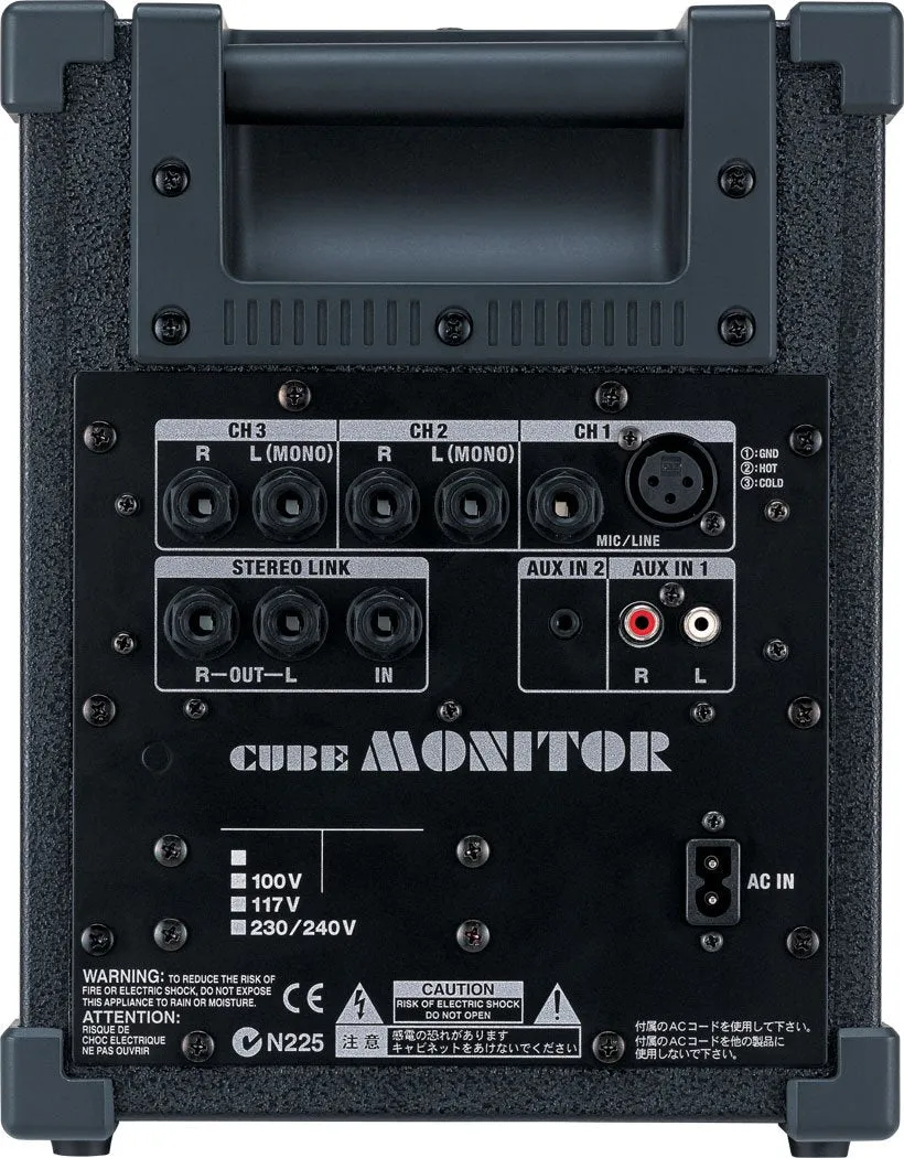 Roland Cube Monitor / PA